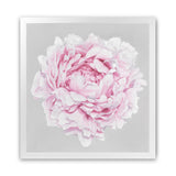 Shop Pink Peony II (Square) Art Print-Botanicals, Florals, Grey, Pink, Square, View All-framed painted poster wall decor artwork