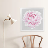 Shop Pink Peony II (Square) Art Print-Botanicals, Florals, Grey, Pink, Square, View All-framed painted poster wall decor artwork