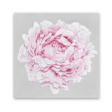 Shop Pink Peony II (Square) Art Print-Botanicals, Florals, Grey, Pink, Square, View All-framed painted poster wall decor artwork