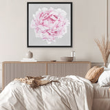 Shop Pink Peony II (Square) Canvas Art Print-Botanicals, Florals, Grey, Pink, Square, View All-framed wall decor artwork