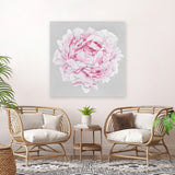 Shop Pink Peony II (Square) Canvas Art Print-Botanicals, Florals, Grey, Pink, Square, View All-framed wall decor artwork