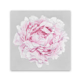 Shop Pink Peony II (Square) Canvas Art Print-Botanicals, Florals, Grey, Pink, Square, View All-framed wall decor artwork