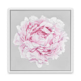 Shop Pink Peony II (Square) Canvas Art Print-Botanicals, Florals, Grey, Pink, Square, View All-framed wall decor artwork
