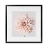 Shop Pastel Peach Dahlia Flower (Square) Art Print-Botanicals, Florals, Neutrals, Pink, Square, View All-framed painted poster wall decor artwork