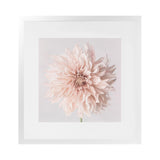 Shop Pastel Peach Dahlia Flower (Square) Art Print-Botanicals, Florals, Neutrals, Pink, Square, View All-framed painted poster wall decor artwork