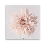 Shop Pastel Peach Dahlia Flower (Square) Art Print-Botanicals, Florals, Neutrals, Pink, Square, View All-framed painted poster wall decor artwork