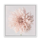 Shop Pastel Peach Dahlia Flower (Square) Canvas Art Print-Botanicals, Florals, Neutrals, Pink, Square, View All-framed wall decor artwork