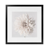 Shop Cream White Dahlia Flower (Square) Art Print-Botanicals, Florals, Square, View All, White-framed painted poster wall decor artwork
