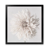 Shop Cream White Dahlia Flower (Square) Art Print-Botanicals, Florals, Square, View All, White-framed painted poster wall decor artwork