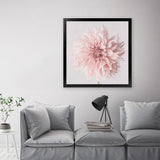 Shop Pastel Pink Dahlia Flower (Square) Art Print-Botanicals, Florals, Pink, Square, View All-framed painted poster wall decor artwork