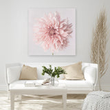 Shop Pastel Pink Dahlia Flower (Square) Canvas Art Print-Botanicals, Florals, Pink, Square, View All-framed wall decor artwork