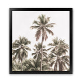 Shop Summer Palms Light II (Square) Art Print-Brown, Coastal, Green, Square, Tropical, View All-framed painted poster wall decor artwork