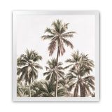 Shop Summer Palms Light II (Square) Art Print-Brown, Coastal, Green, Square, Tropical, View All-framed painted poster wall decor artwork