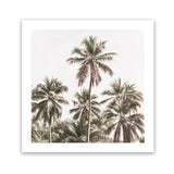 Shop Summer Palms Light II (Square) Art Print-Brown, Coastal, Green, Square, Tropical, View All-framed painted poster wall decor artwork