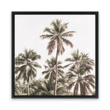 Shop Summer Palms Light II (Square) Canvas Art Print-Brown, Coastal, Green, Square, Tropical, View All-framed wall decor artwork