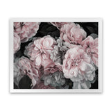 Shop Pink Blooms II Art Print-Black, Botanicals, Florals, Horizontal, Landscape, Pink, Rectangle, View All-framed painted poster wall decor artwork