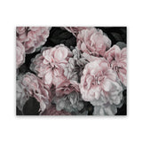 Shop Pink Blooms II Art Print-Black, Botanicals, Florals, Horizontal, Landscape, Pink, Rectangle, View All-framed painted poster wall decor artwork