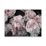 Shop Pink Blooms II Canvas Art Print-Black, Botanicals, Florals, Horizontal, Landscape, Pink, Rectangle, View All-framed wall decor artwork