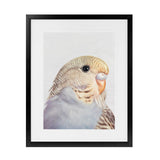 Shop Sammy The Budgerigar Art Print-Animals, Baby Nursery, Birds, Grey, Portrait, Rectangle, View All, Yellow-framed painted poster wall decor artwork