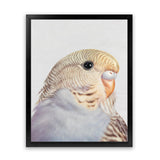 Shop Sammy The Budgerigar Art Print-Animals, Baby Nursery, Birds, Grey, Portrait, Rectangle, View All, Yellow-framed painted poster wall decor artwork