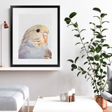 Shop Sammy The Budgerigar Art Print-Animals, Baby Nursery, Birds, Grey, Portrait, Rectangle, View All, Yellow-framed painted poster wall decor artwork