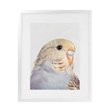 Shop Sammy The Budgerigar Art Print-Animals, Baby Nursery, Birds, Grey, Portrait, Rectangle, View All, Yellow-framed painted poster wall decor artwork