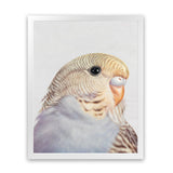 Shop Sammy The Budgerigar Art Print-Animals, Baby Nursery, Birds, Grey, Portrait, Rectangle, View All, Yellow-framed painted poster wall decor artwork