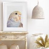 Shop Sammy The Budgerigar Art Print-Animals, Baby Nursery, Birds, Grey, Portrait, Rectangle, View All, Yellow-framed painted poster wall decor artwork