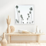 Shop California Palms II (Square) Art Print-Botanicals, Coastal, Green, Square, Tropical, View All, White-framed painted poster wall decor artwork