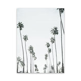Shop California Palms II Canvas Art Print-Botanicals, Coastal, Green, Portrait, Tropical, View All, White-framed wall decor artwork