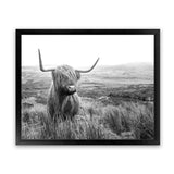 Shop Highland Cow B&W Photo Art Print-Animals, Black, Grey, Horizontal, Landscape, Photography, Rectangle, View All, White-framed poster wall decor artwork