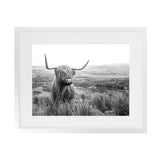 Shop Highland Cow B&W Photo Art Print-Animals, Black, Grey, Horizontal, Landscape, Photography, Rectangle, View All, White-framed poster wall decor artwork