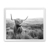 Shop Highland Cow B&W Photo Art Print-Animals, Black, Grey, Horizontal, Landscape, Photography, Rectangle, View All, White-framed poster wall decor artwork