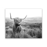 Shop Highland Cow B&W Photo Art Print-Animals, Black, Grey, Horizontal, Landscape, Photography, Rectangle, View All, White-framed poster wall decor artwork