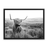 Shop Highland Cow B&W Photo Canvas Art Print-Animals, Black, Grey, Horizontal, Landscape, Photography, Photography Canvas Prints, Rectangle, View All, White-framed wall decor artwork