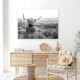 Shop Highland Cow B&W Photo Canvas Art Print-Animals, Black, Grey, Horizontal, Landscape, Photography, Photography Canvas Prints, Rectangle, View All, White-framed wall decor artwork