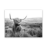 Shop Highland Cow B&W Photo Canvas Art Print-Animals, Black, Grey, Horizontal, Landscape, Photography, Photography Canvas Prints, Rectangle, View All, White-framed wall decor artwork