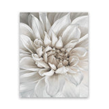 Shop White Dahlia Art Print-Florals, Hamptons, Portrait, View All, White-framed painted poster wall decor artwork