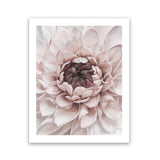 Shop Divine Dahlia II Art Print-Botanicals, Florals, Hamptons, Pink, Portrait, View All-framed painted poster wall decor artwork