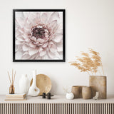Shop Divine Dahlia II (Square) Art Print-Botanicals, Florals, Hamptons, Pink, Square, View All-framed painted poster wall decor artwork