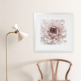 Shop Divine Dahlia II (Square) Art Print-Botanicals, Florals, Hamptons, Pink, Square, View All-framed painted poster wall decor artwork