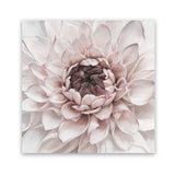 Shop Divine Dahlia II (Square) Art Print-Botanicals, Florals, Hamptons, Pink, Square, View All-framed painted poster wall decor artwork