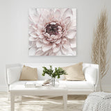 Shop Divine Dahlia II (Square) Canvas Art Print-Botanicals, Florals, Hamptons, Pink, Square, View All-framed wall decor artwork