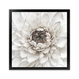 Shop Divine Dahlia III (Square) Art Print-Botanicals, Florals, Hamptons, Square, View All, White-framed painted poster wall decor artwork