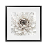 Shop Divine Dahlia III (Square) Art Print-Botanicals, Florals, Hamptons, Square, View All, White-framed painted poster wall decor artwork