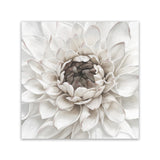 Shop Divine Dahlia III (Square) Canvas Art Print-Botanicals, Florals, Hamptons, Square, View All, White-framed wall decor artwork