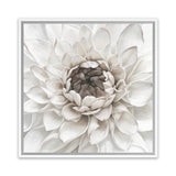 Shop Divine Dahlia III (Square) Canvas Art Print-Botanicals, Florals, Hamptons, Square, View All, White-framed wall decor artwork