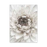 Shop Divine Dahlia III Canvas Art Print-Botanicals, Florals, Hamptons, Portrait, View All, White-framed wall decor artwork