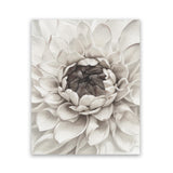 Shop Divine Dahlia III Art Print-Botanicals, Florals, Hamptons, Portrait, View All, White-framed painted poster wall decor artwork