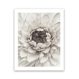 Shop Divine Dahlia III Art Print-Botanicals, Florals, Hamptons, Portrait, View All, White-framed painted poster wall decor artwork